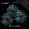 Download track Future Reverse (Original Mix)