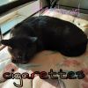 Download track Cigarettes