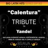 Download track Calentura (In The Style Of Yandel) [Acapella Version]