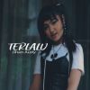 Download track Terlalu