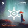 Download track Sweet Sorrow (Paul Thomas & White-Akre Remix)