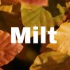 Download track Miltik