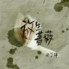 Download track 放生蔷薇 (伴奏)