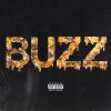 Download track Buzz