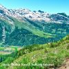 Download track Alpine Meadow Wind & Birdsong Ambience, Pt. 19