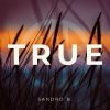 Download track True (Slowed Reverb)