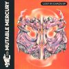 Download track Lost In Chaos