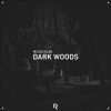 Download track Dark Woods