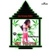 Download track Sky Temple