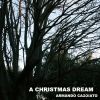 Download track A Christmas Dream