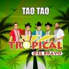 Download track El Tao Tao