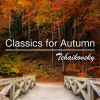 Download track Tchaikovsky: 1812 Overture, Op. 49, TH 49 (Finale)