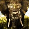 Download track Mono Loco