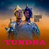 Download track Tundra