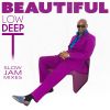 Download track Beautiful (Acoustic Piano Remix)