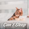 Download track Calming Sleep