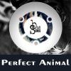 Download track Perfect Animal