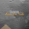 Download track Beautiful British Rainfall