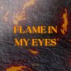 Download track Flame In My Eyes (Radio Edit)