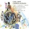 Download track 01. Orff - Salzburger Mozarteum Orchester - Carmina Burana: Fortuna Imperatix M...