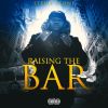 Download track Raise The Bar