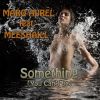 Download track Something (You Can't Be) (Paul Van Allerg Remix)