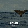 Download track Waves (Radio Edit)