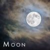 Download track Moon 2