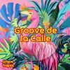 Download track Groove De La Calle