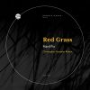 Download track Red Grass (Original Mix)