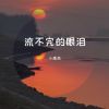 Download track 流不完的眼泪 (伴奏)