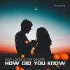 Download track How Did You Know (Dub Mix)