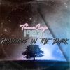 Download track Running In The Dark