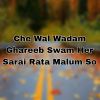 Download track Cha Wayal Che Meena Jatraba Ghware