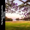 Download track Meditation With Nature, Pt. 9