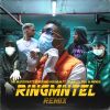 Download track Ringmntel Remix