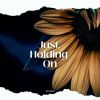 Download track Just Holding On (Radio Edit)