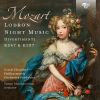 Download track Divertimento In B-Flat Major, K. 287, Lodron Night Music No. 2: II. Andante Grazioso Von Variazioni'