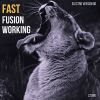 Download track Fast Fusion Working