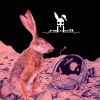 Download track Blue Moon Rabbit