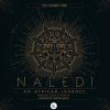 Download track Naledi: An African Journey: XVI. Ngicolele
