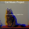 Download track High Class Backdrops For Kittens