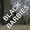 Download track Black Barbies - Tribute To Nicki Minaj And Mike Will Made-It