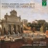 Download track Divertimenti Per Camera - Sonata No. 8, Op. 2 II. Allegro