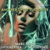 Download track Another Sweet Surrender (Radio Edit)