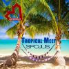 Download track Tropical Meet (Radio Edit)