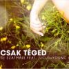 Download track Csak Teged (Radio Edit)