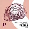 Download track Desire (Eelke Kleijn Extended Remix)