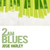 Download track 2 A. M. Blues