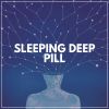 Download track Euphoric Sleep, Pt. 11
